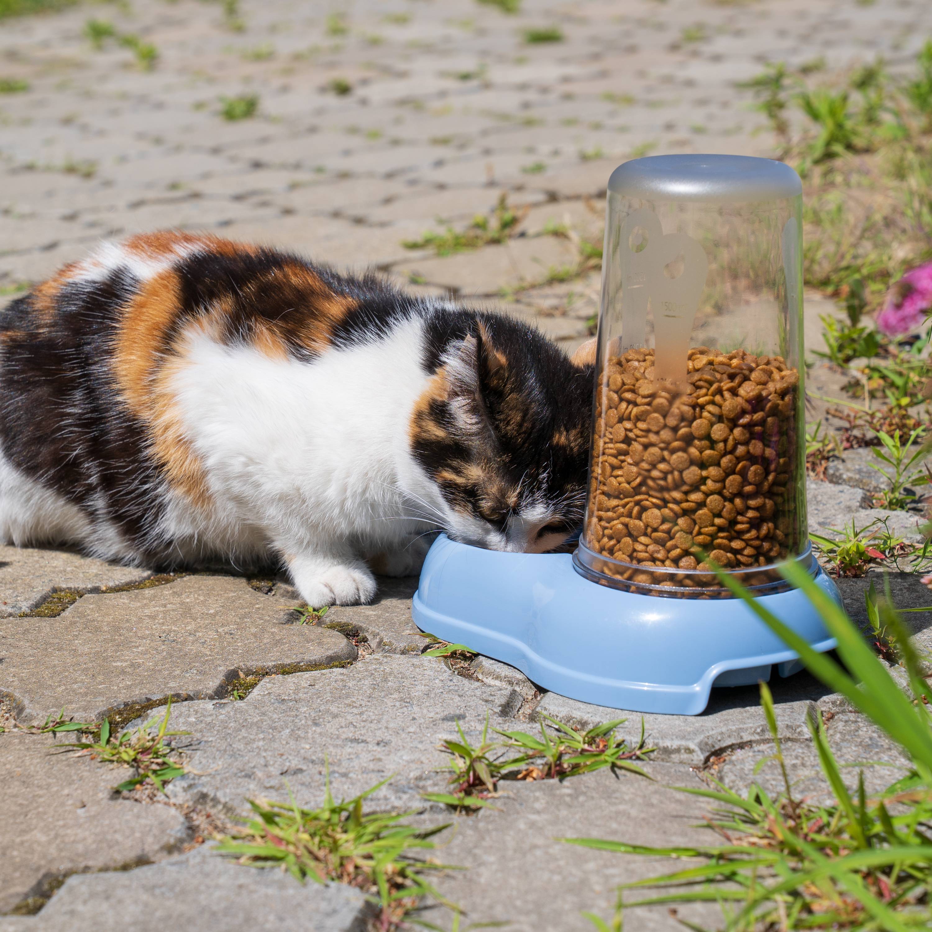 Ferplast - Ferplast Distributeur de nourriture ou d'eau pour chiens et chats AZIMUT 1500, Distributeur de nourriture sèche 1,5 litre, fond antidérapant, 16,5 x - Imagen 4
