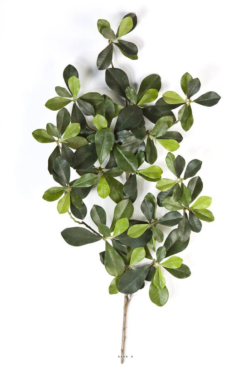 Artificielles - Branche Olivier oriental artificiel H 55 cm 117 feuilles