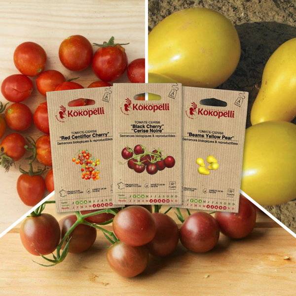 Tomates-cerise apéro - 3 sachets de graines bio à semer - Imagen 1