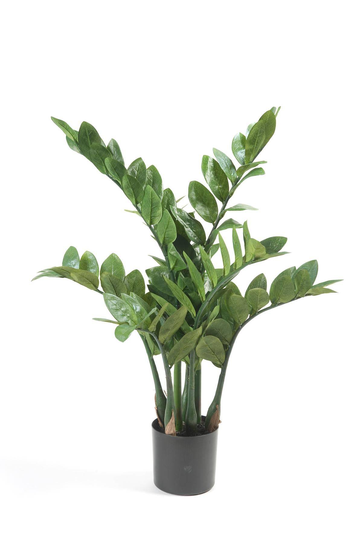 La Green Touch - Zamioculcas plante artificielle - h70cm, Ø12cm- La Green Touch - Imagen 4
