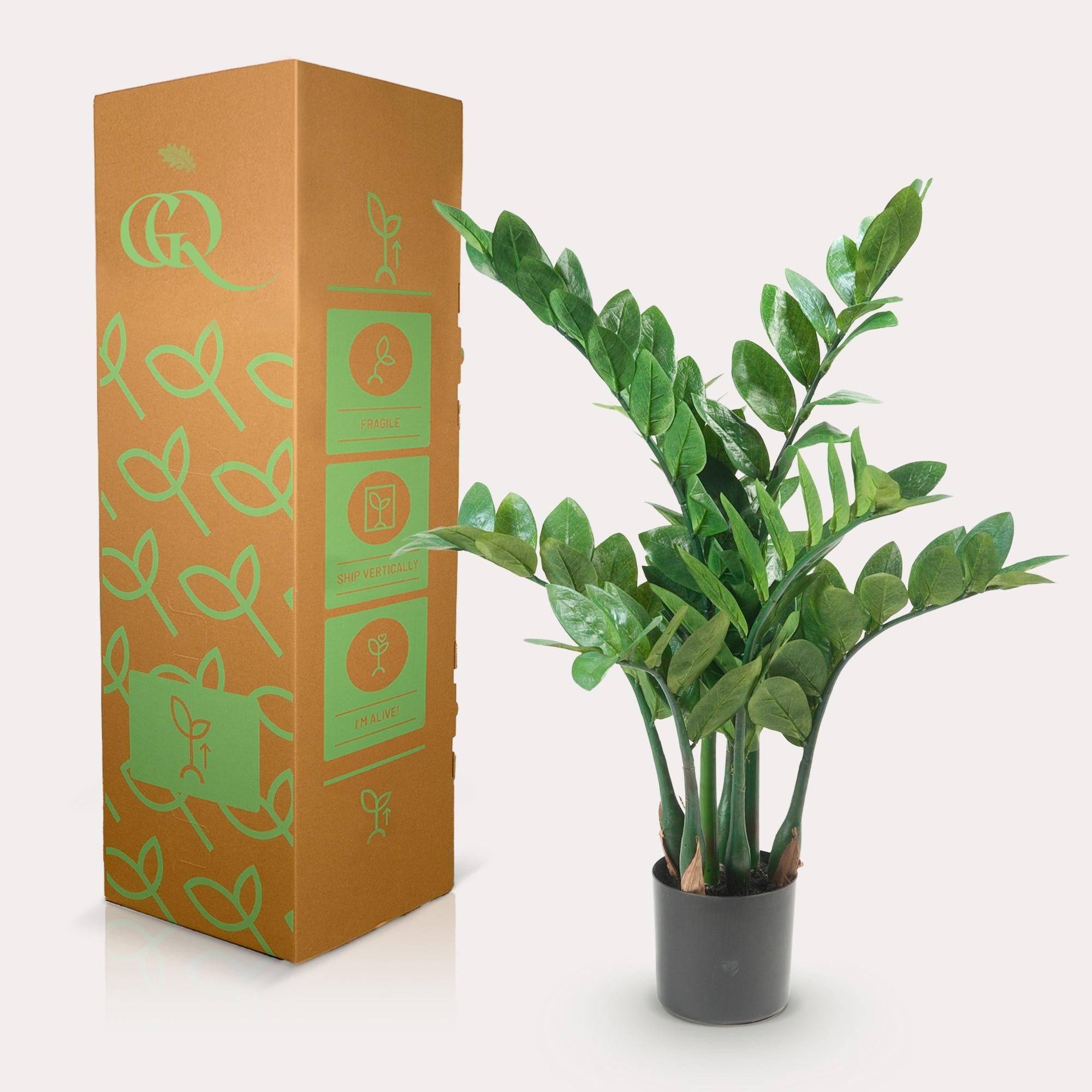 La Green Touch - Zamioculcas plante artificielle - h70cm, Ø12cm- La Green Touch - Imagen 5