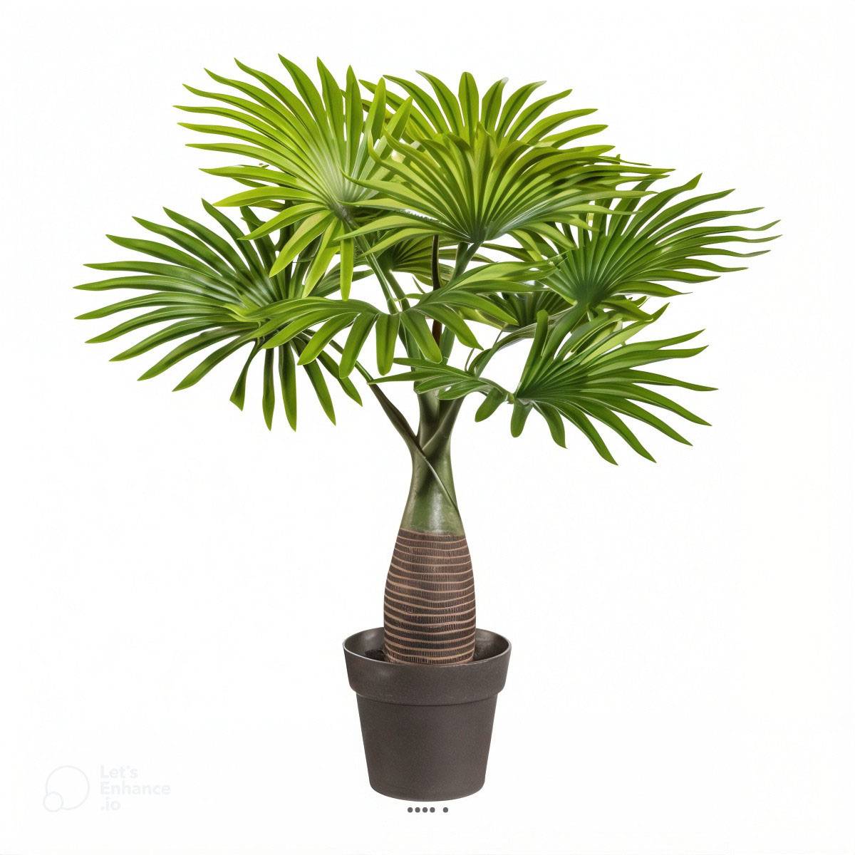 Artificielles - Palmier Bouteille artificiel H 45 cm 9 palmes en pot - Imagen 1