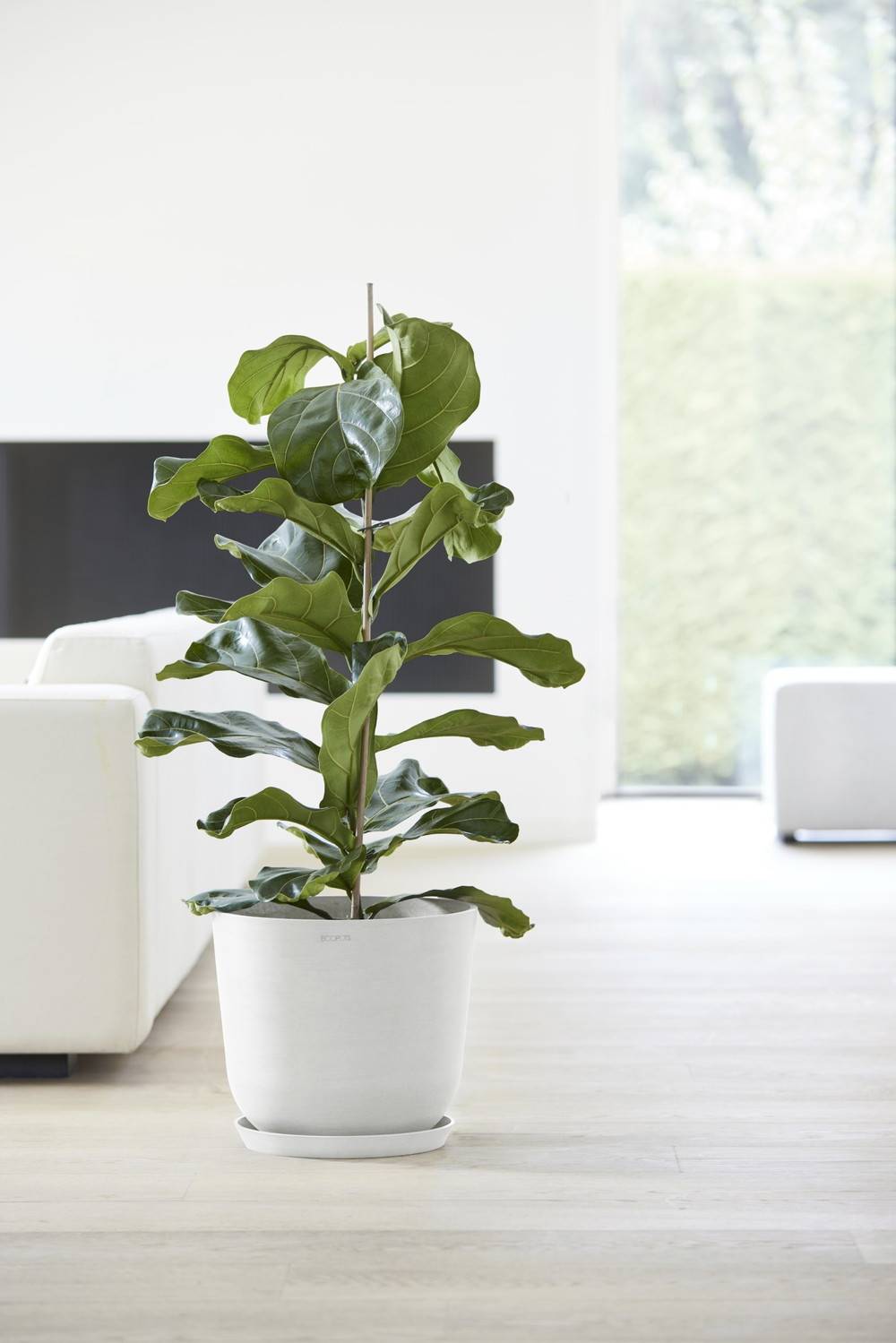 Ecopots - Pot Rond Oslo 35 Blanc Pur - Ø 35 x H. 30,5 cm - 21,7 L ECOPOTS - Imagen 3