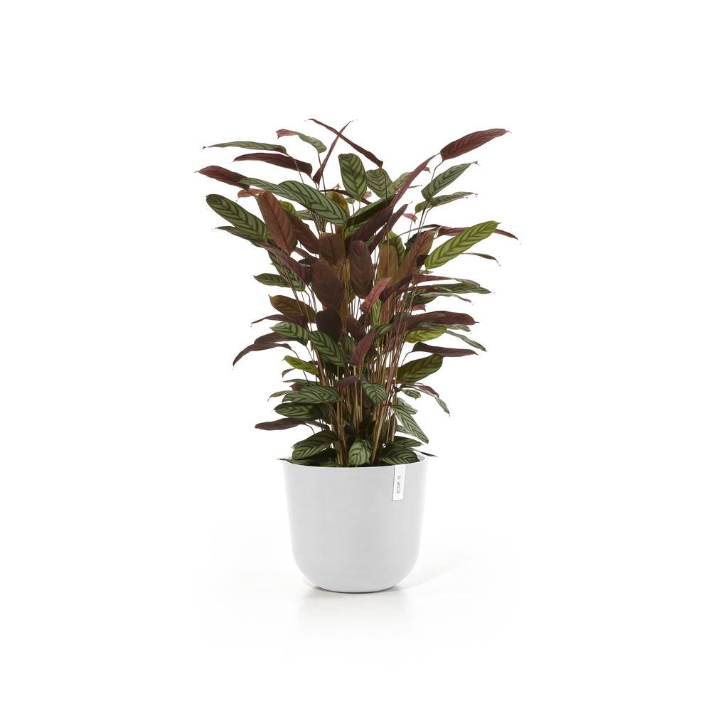 Ecopots - Pot Rond Oslo 35 Blanc Pur - Ø 35 x H. 30,5 cm - 21,7 L ECOPOTS - Imagen 2