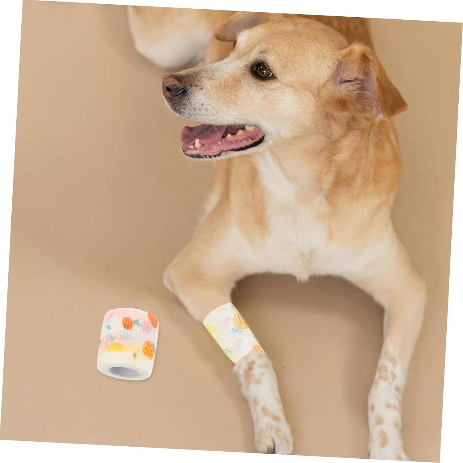 DtopbuyAge - Bandage Auto-Adhésif pour Chats et Chiens - Confort Optimal 4pcs DtopbuyAge - Image 5