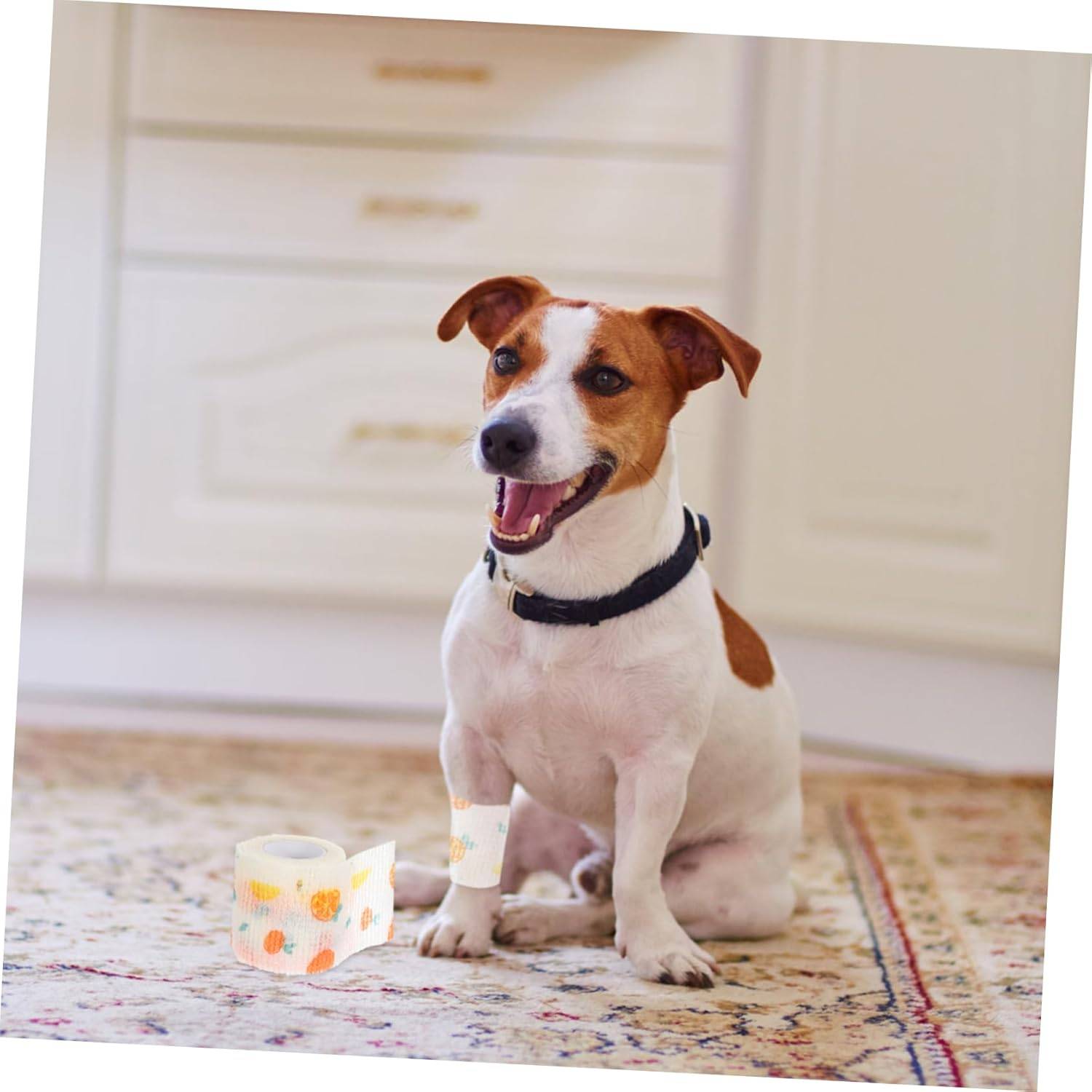 DtopbuyAge - Bandage Auto-Adhésif pour Chats et Chiens - Confort Optimal 4pcs DtopbuyAge - Image 4