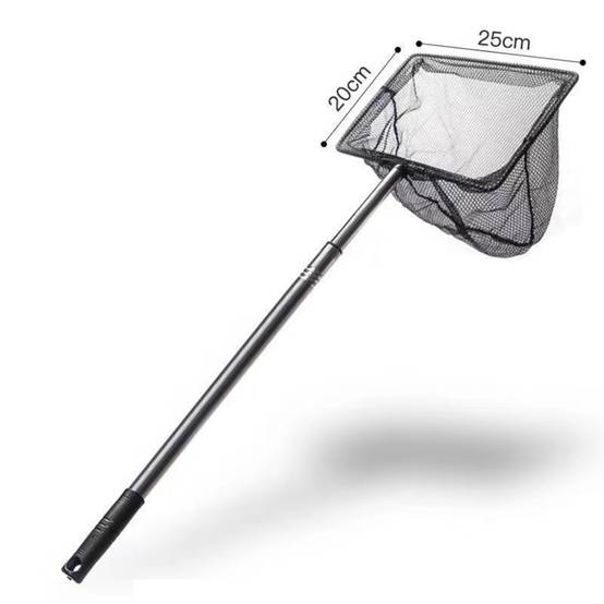 Épuisette Carrée Inoxydable Télescopique DtopbuyAge - Image 2