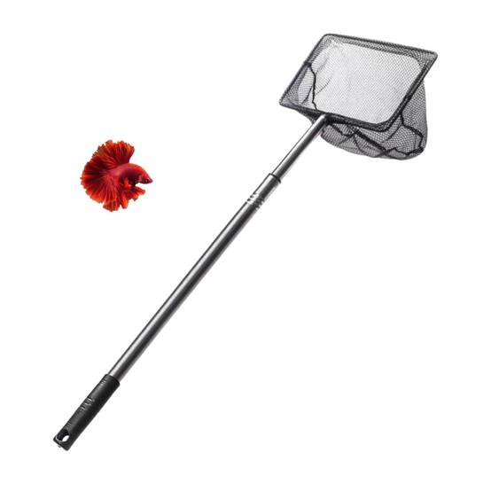 Épuisette Carrée Inoxydable Télescopique DtopbuyAge - Image 1