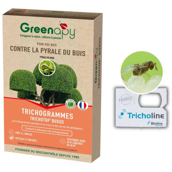 Biotop - Biotop - Trichogrammes anti pyrale de buis Tricholine Buxus - Imagen 2