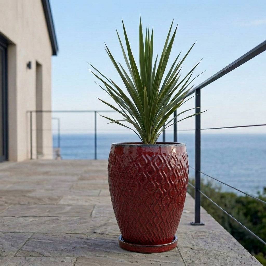 Provencelia - Soucoupe ronde 15cm rouge tropical - Image 8