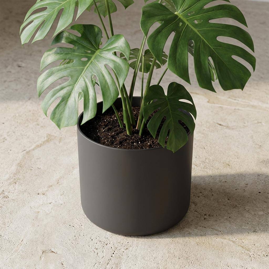 Pot de fleurs elho b.for soft anthracite - D.35cm - Image 4