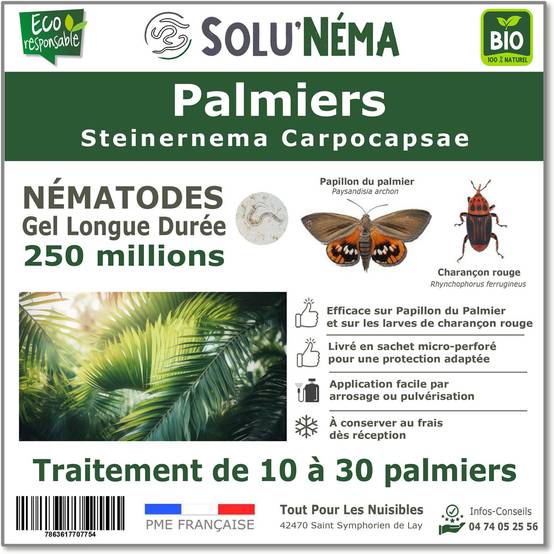 Solunéma - Traitement pour Palmiers à base de nématodes Steinernema Carpocapsae (SC) - 250 millions - 20 à 30 Palmiers - Image 1