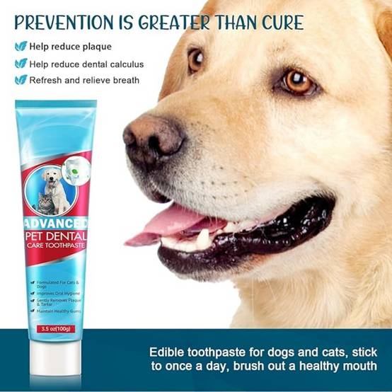 Kit Dentaire Menthe pour Chiens - Image 2