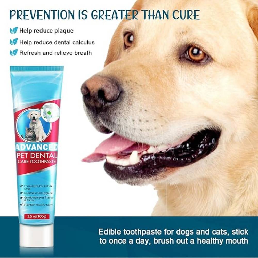 Kit Dentaire Menthe pour Chiens - Image 2