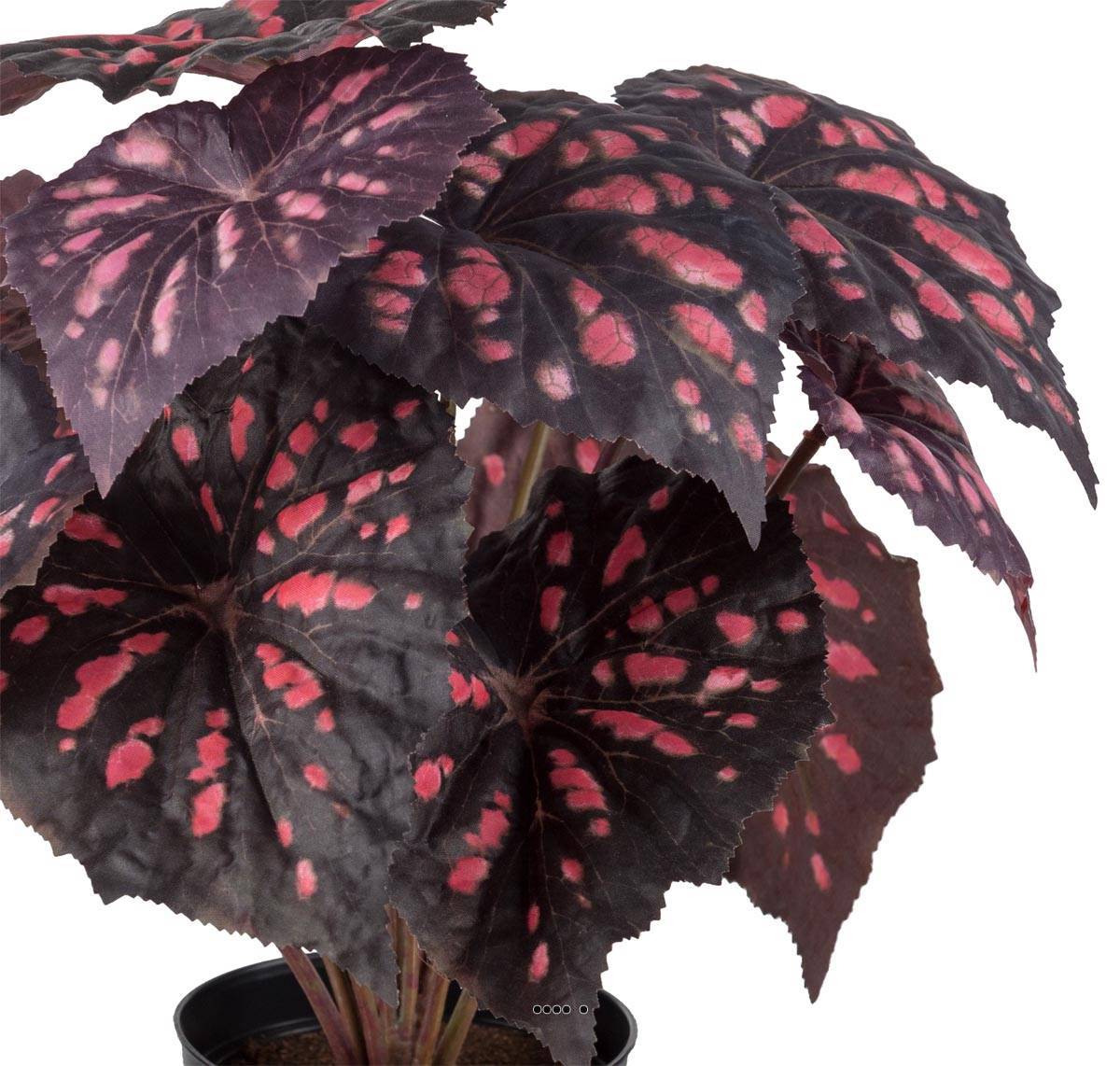 Artificielles - Bégonia royal artificiel en pot, H 30 cm D 25 cm Pourpre-rose - couleur: Pourpre-rose 331 - Imagen 3