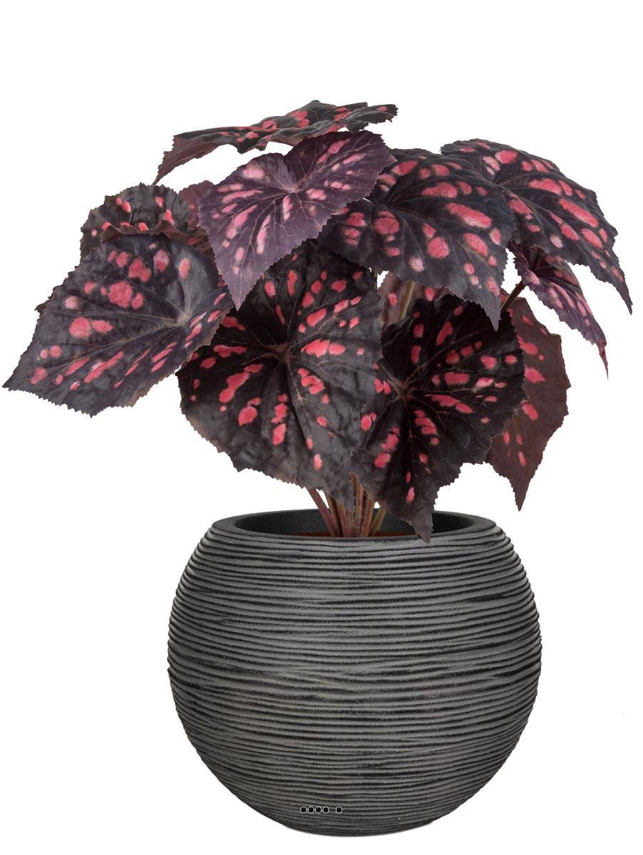 Artificielles - Bégonia royal artificiel en pot, H 30 cm D 25 cm Pourpre-rose - couleur: Pourpre-rose 331 - Imagen 2
