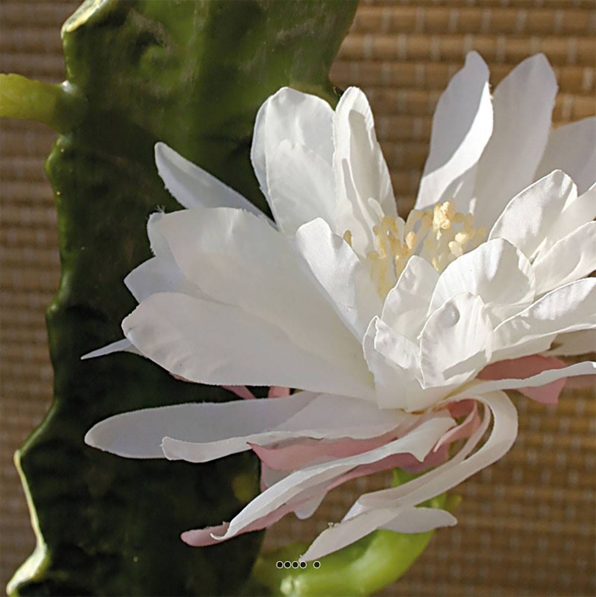 Artificielles - Joli cactus cierge artificiel en piquet H 52 cm avec sa fleur Crème - couleur: Crème - Imagen 2