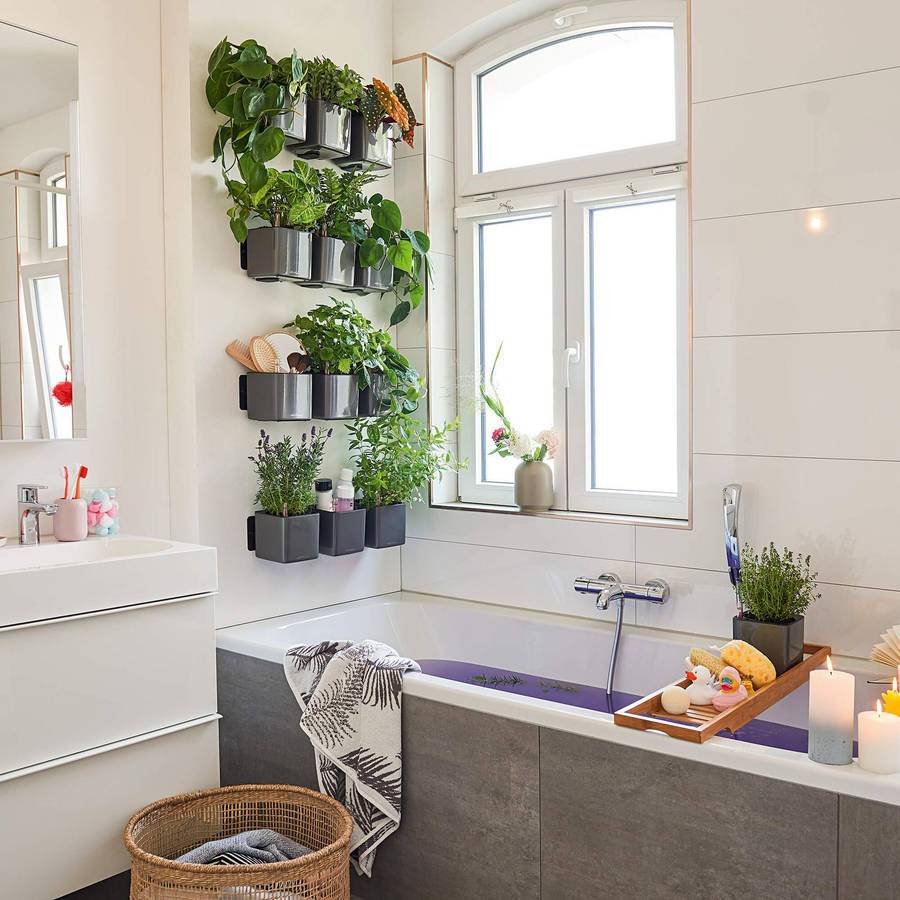 Lechuza - Cube Glossy Green Wall Home kit - 48x14x14 cm - anthracite ultra brillant Lechuza - Imagen 3