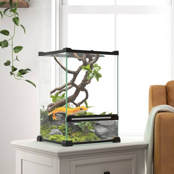 Terrarium en verre pour reptiles vivarium 12 L avec couvercle en treillis métallique, 20 x 20 x 30 cm, noir - Image 4