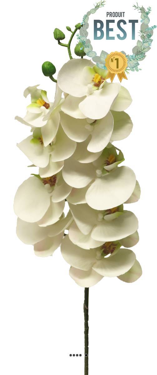 Artificielles - Tige orchidée phalaenopsis faux 9fleurons touché réel H77cm Crème-BEST - couleur: Crème - Imagen 1