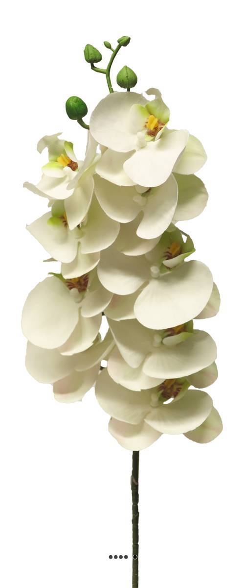 Artificielles - Tige orchidée phalaenopsis faux 9fleurons touché réel H77cm Crème-BEST - couleur: Crème - Imagen 2