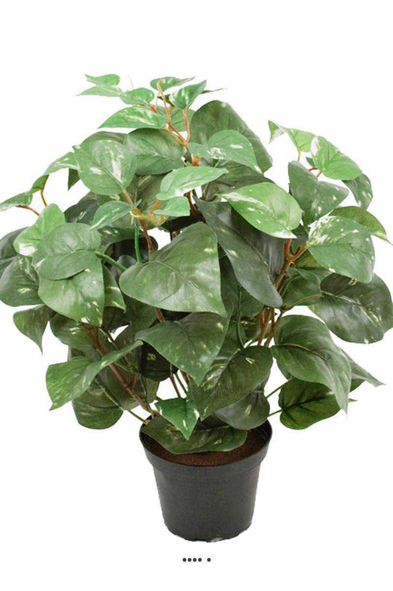 Artificielles - Pothos au feuillage panaché artificiel en pot, H 35 cm, D 29 cm - Imagen 1