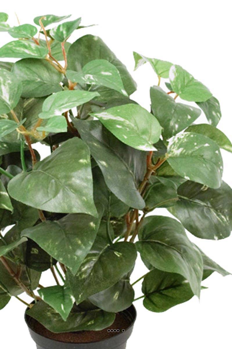 Artificielles - Pothos au feuillage panaché artificiel en pot, H 35 cm, D 29 cm - Imagen 3