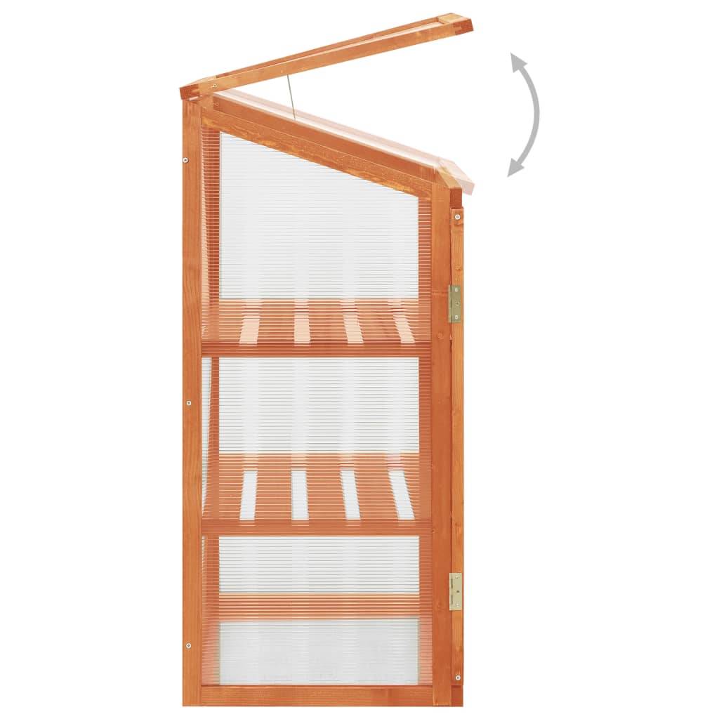 Mini Serre En Bois Extérieur Needs&Wants Framy2 - Serre De Jardin 56x43x76 Cm Polycarbonate Résistante Au Froid, Brun Foncé