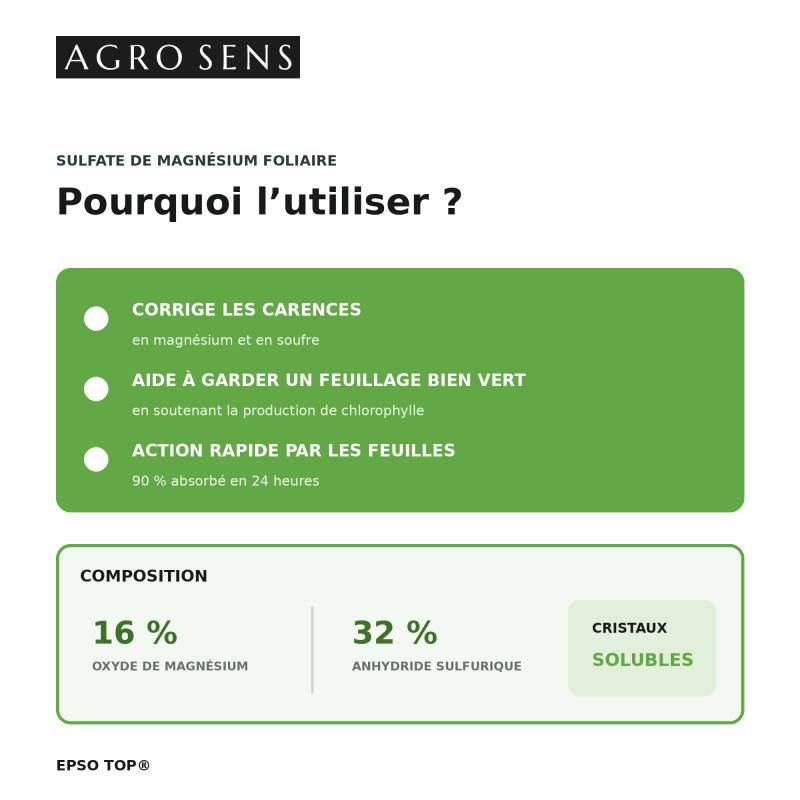 Epso Top®, engrais foliaire riche en Magnésium. Sel d'Epsom 5 kg - Image 5