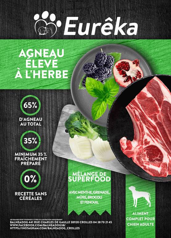 Croquettes chien adulte holistic sans céréales - Agneau élevé à l'herbe - 12 Kg - Image 2