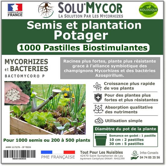 SoluMycor – 1000 Pastilles Biostimulantectéries Azospis Potager – Semis & Plantation – Mycorhizes & Barillum – Favorise le Développement Racinaire