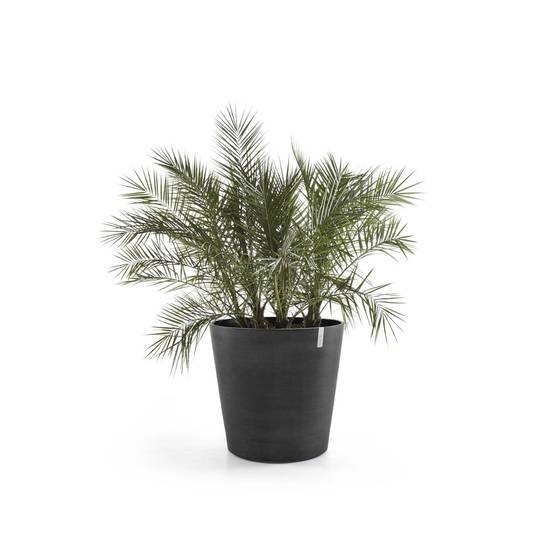 Ecopots - Grand pot sur roues Amsterdam 60 Gris Foncé - Ø 60 x H. 56 cm - 100 L ECOPOTS - Imagen 1