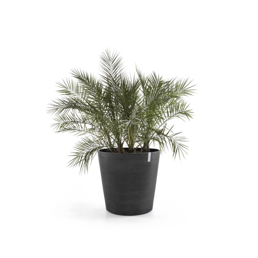 Ecopots - Grand pot sur roues Amsterdam 60 Gris Foncé - Ø 60 x H. 56 cm - 100 L ECOPOTS - Imagen 1