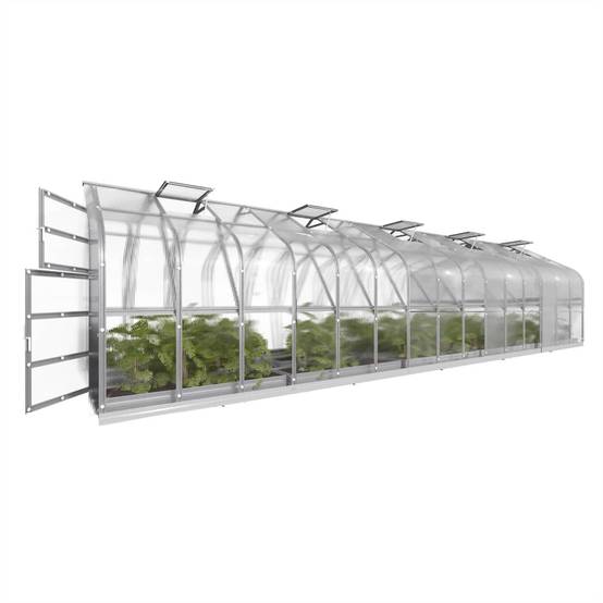 KLASIKA GREENHOUSES - Serre KLASIKA Standard 25m2, 2,5m x 10m, 6 mm avec revêtement en polycarbonate (Avec 5 toits ouvrants automatiques) - Image 4