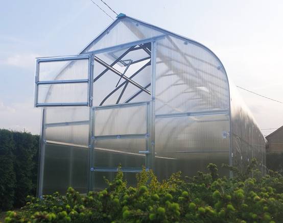 KLASIKA GREENHOUSES - Serre KLASIKA Standard 25m2, 2,5m x 10m, 6 mm avec revêtement en polycarbonate (Avec 5 toits ouvrants automatiques) - Image 7