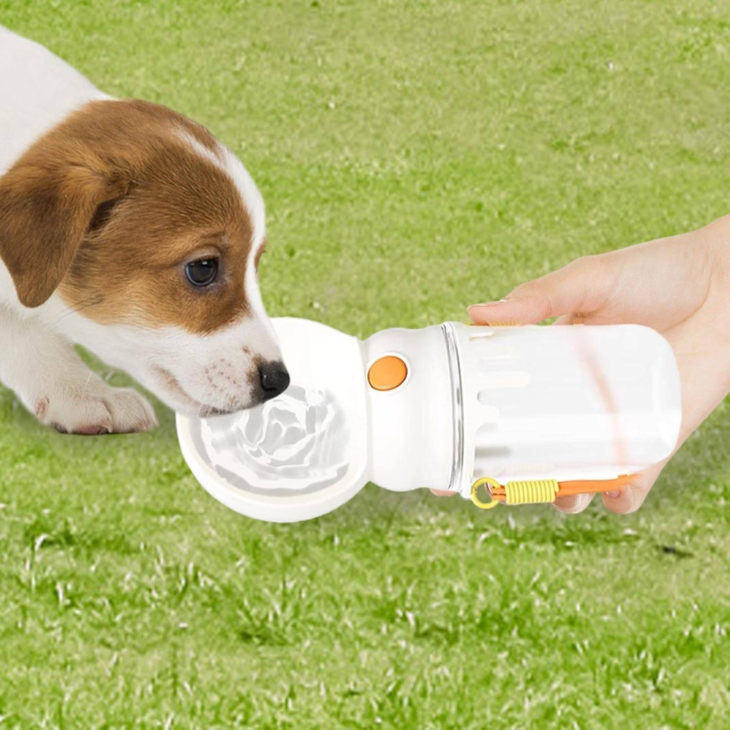DtopbuyAge - Distributeur d'Eau pour Chien - Sans Fuite, 320ml DtopbuyAge - Image 2