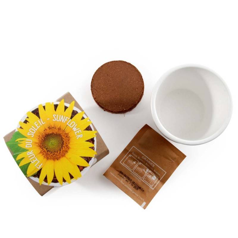 Radis et Capucine - Graines de Tournesol à semer dans un pot en céramique - Imagen 3