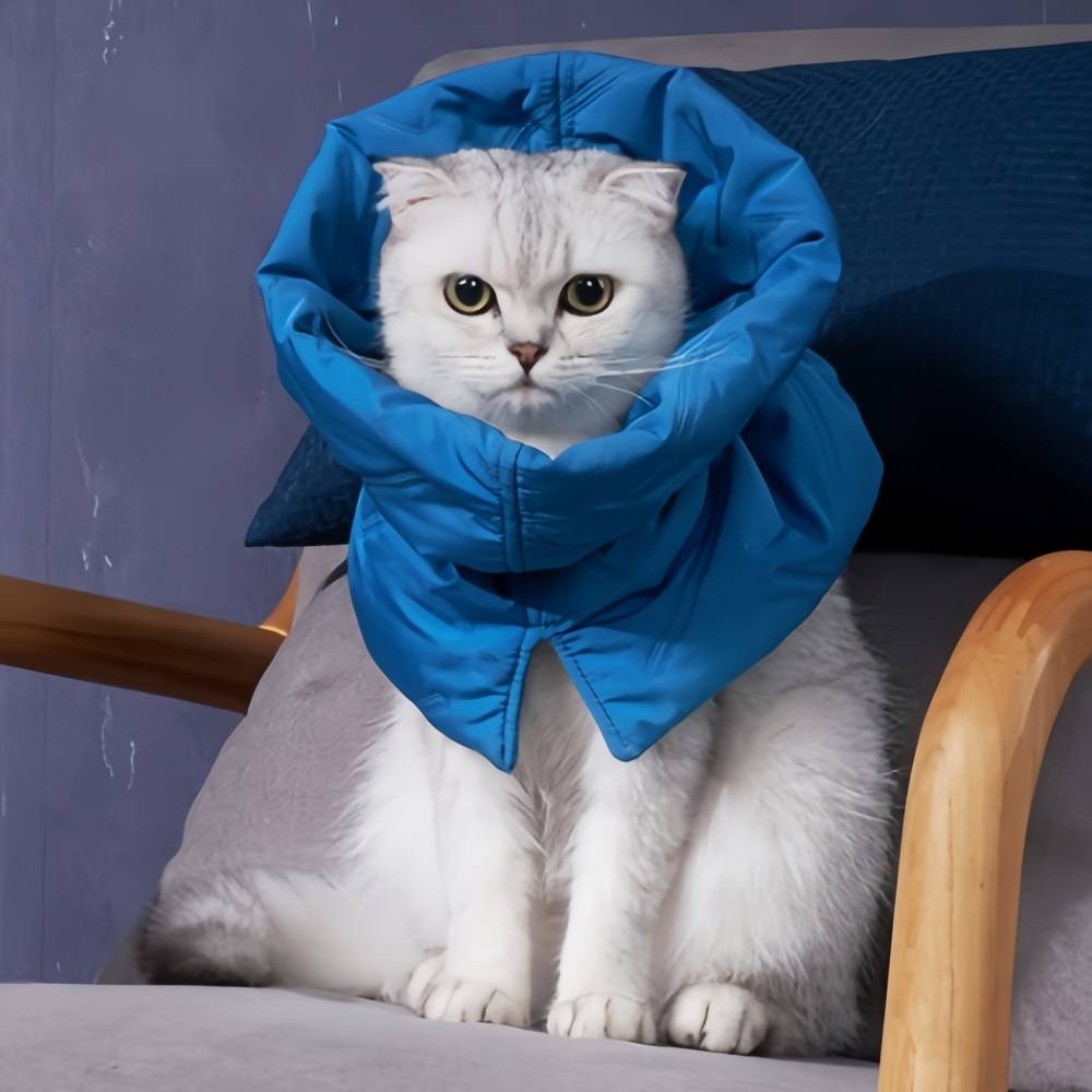 IntiMeg - Collier anti-lèchage pour chat Bleu foncé S IntiMeg - Image 6