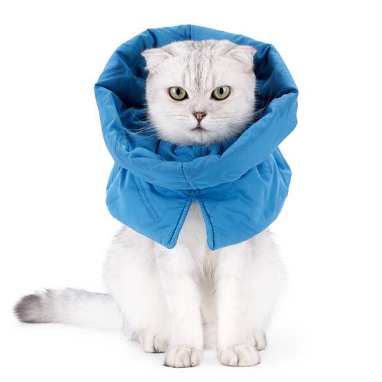 IntiMeg - Collier anti-lèchage pour chat Bleu foncé S IntiMeg - Image 1