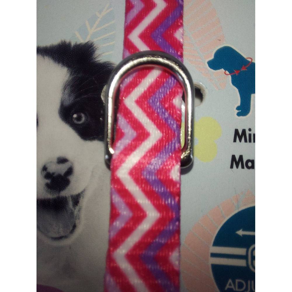 Zolux - zolux - Collier PUPPY PIXIE 8 mm 16 à 25 cm couleur rose pour chiots - Imagen 5
