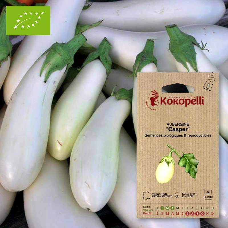 Aubergine Casper- Graines bio à semer
