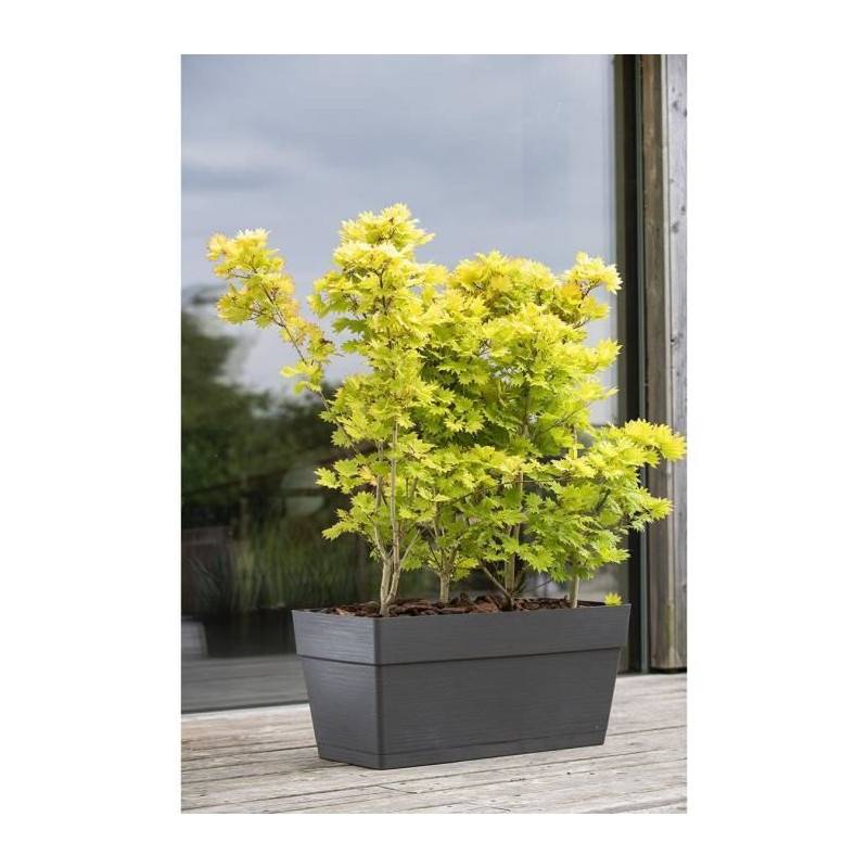 Deroma - Jardiniere - Deroma - Muret Save R - 75l - 79cm - Gris Foncé - Imagen 2