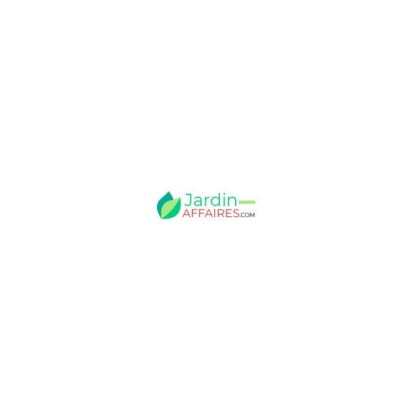 Sans Marque - ecrou pas a gauche 12x150 par5 - 11161 - Vert Import