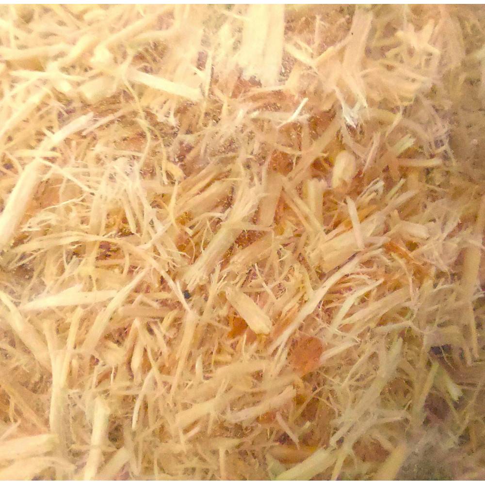 Zoomed - Litière pour serpents Aspen de Zoo Med de 4.4 litres - Image 3