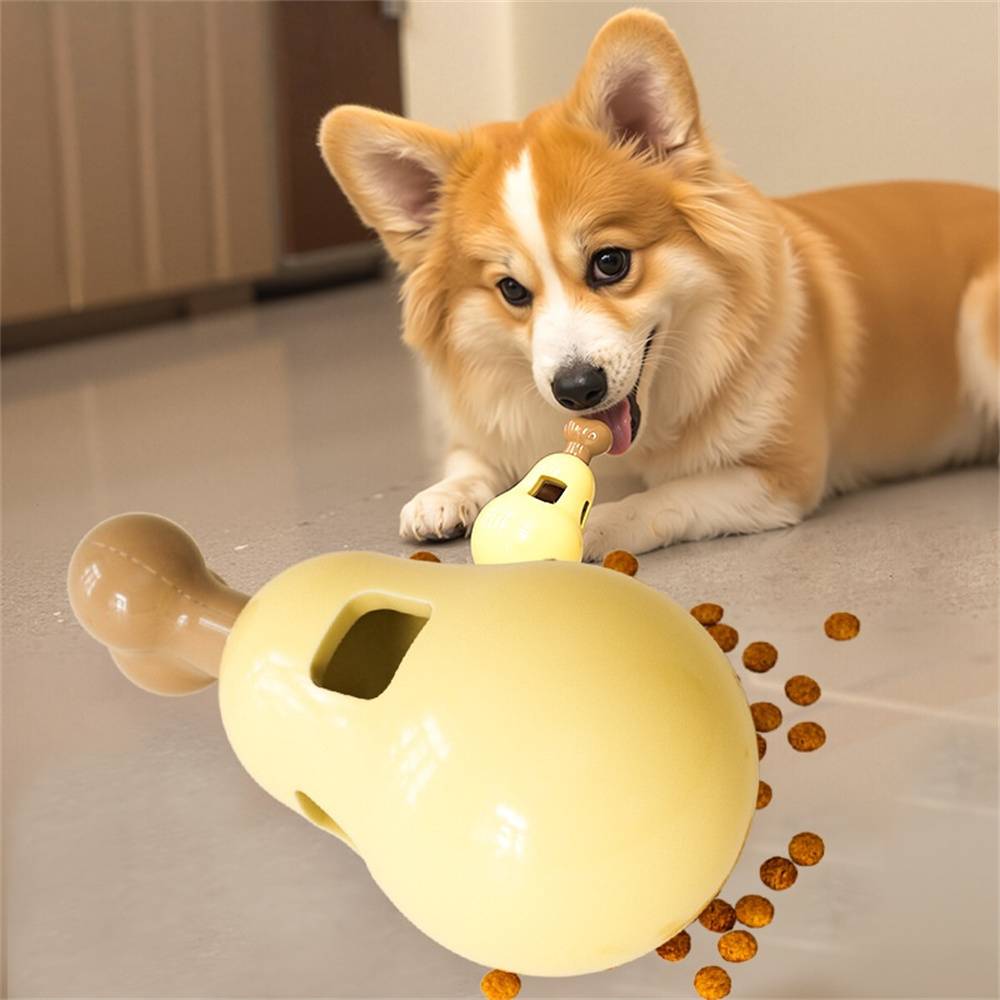 Jouet distributeur de friandises pour chien DtopbuyAge - Image 5