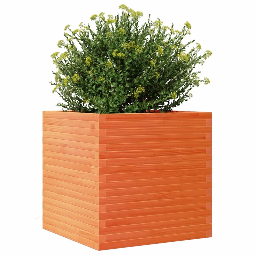 Jardinière Bois de Pin Massif Cire Marron 70 x 70 x 68.5 cm - PANGIVO - Image 4