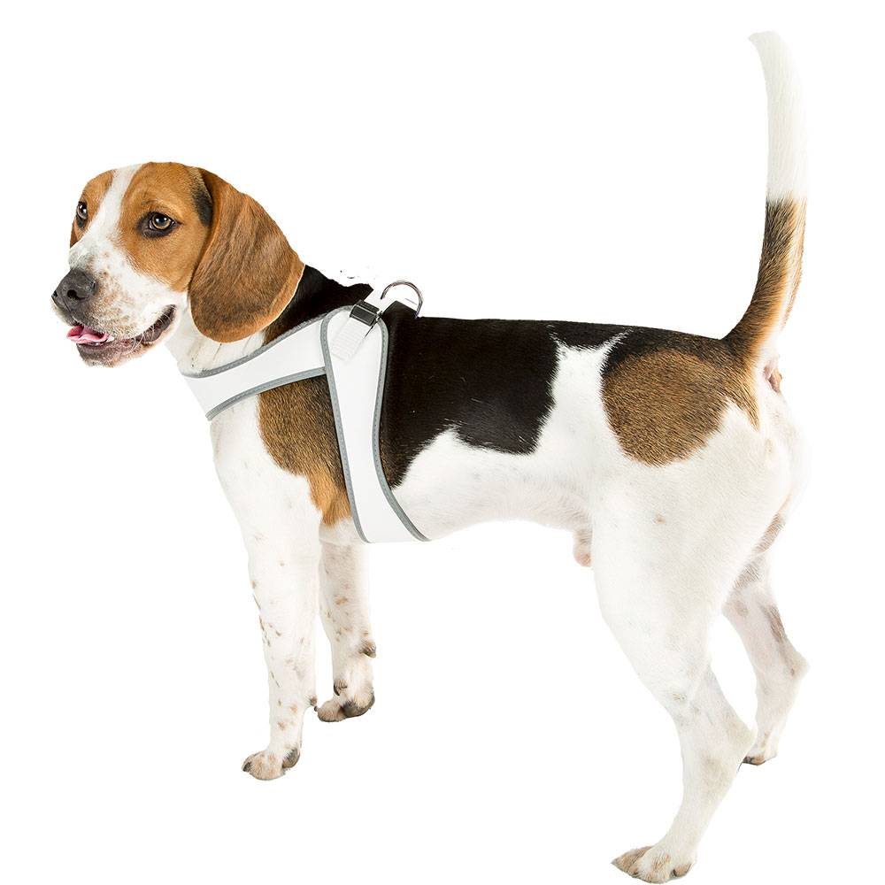 Ferplast - Ferplast Harnais ergonomique pour chiens AGILA 9, fermeture à double micro-régulation, eco-cuir élégant, bords refléchissants, A=B 77÷85 cm Blanc - Imagen 3