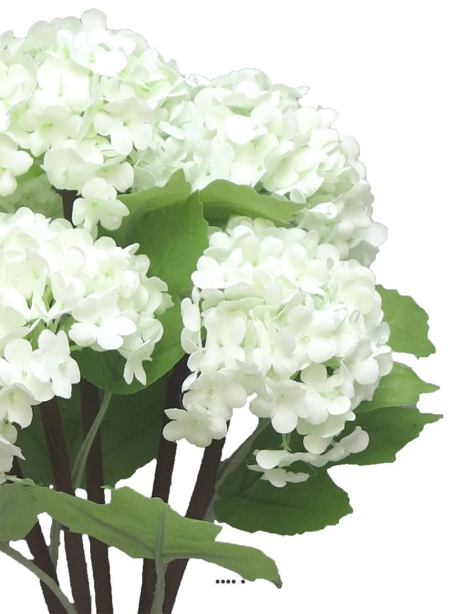 Artificielles - Bouquet de fleurs de Viorne artificielles, 5 têtes, H30cm Crème - BEST - couleur: Crème - Imagen 3