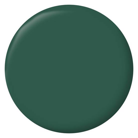 Ripolin - Peinture intérieur mur/boiserie/radiateur satiné, RIPOLIN, vert cardo, 0.5 litre - Image 2