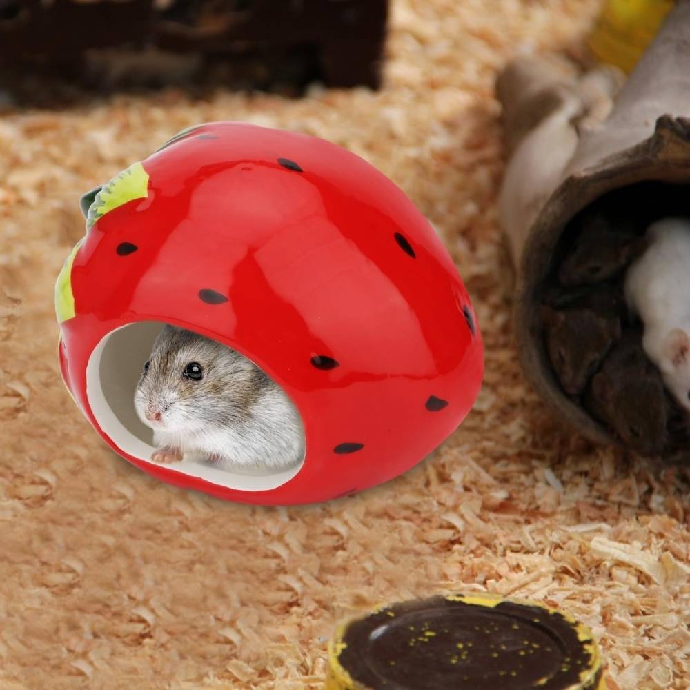 DtopbuyAge - Maison Céramique Pour Oiseaux Hamsters Cobayes DtopbuyAge - Image 4